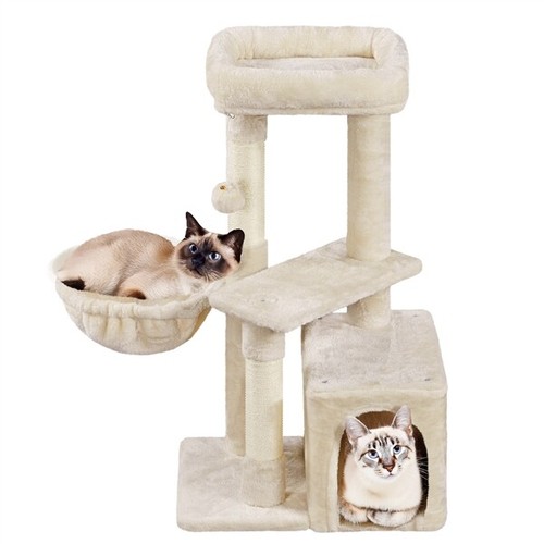 Petit arbre chat à - petit,