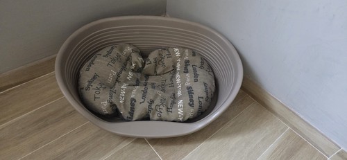 Panier pour chien chat - chien/chat, +