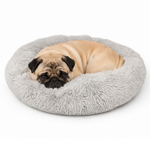 Lit pour chien - pour, chien,
